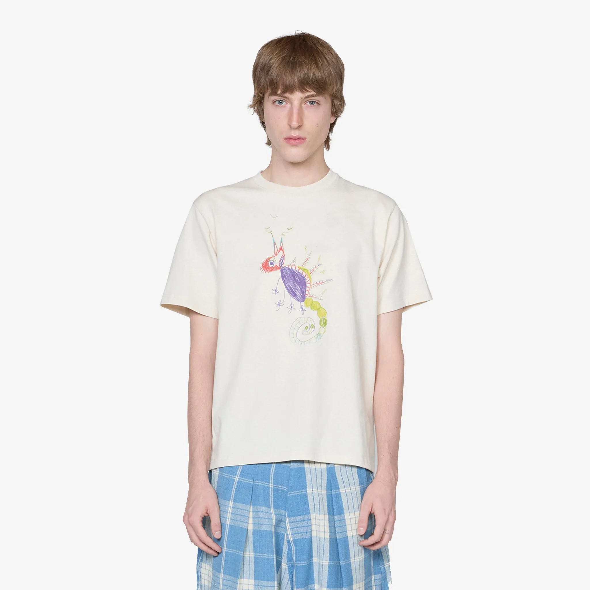 Gentle Short Sleeve T-Shirt Ecru Chameleon