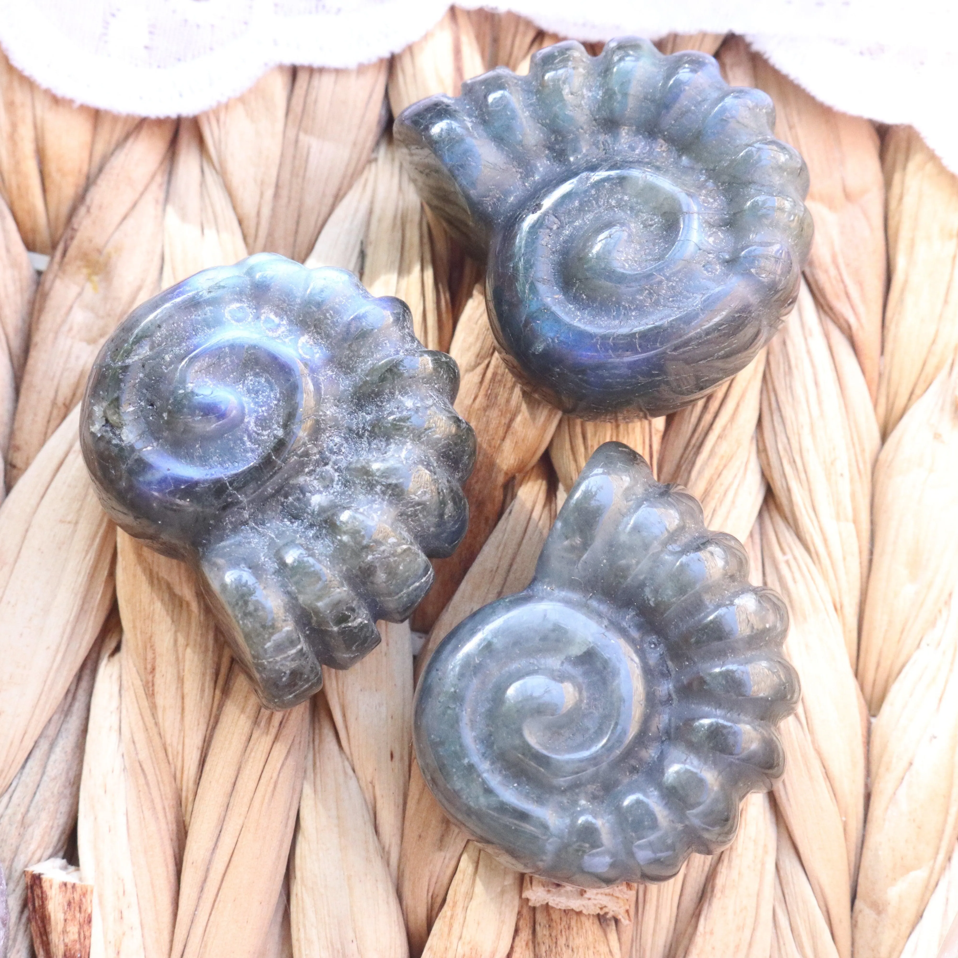 Magical and Cute Flashy Labradorite Shell Carving