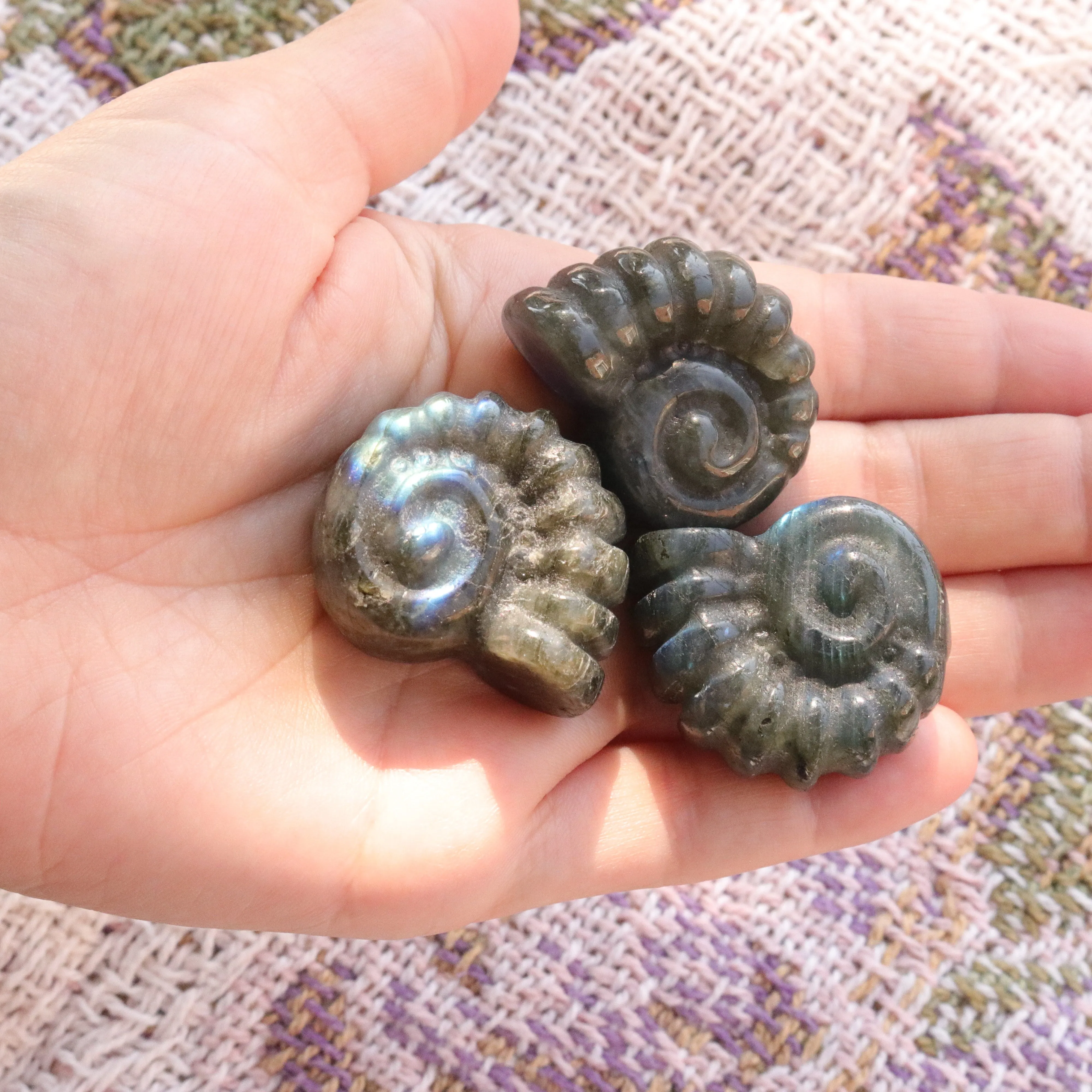 Magical and Cute Flashy Labradorite Shell Carving