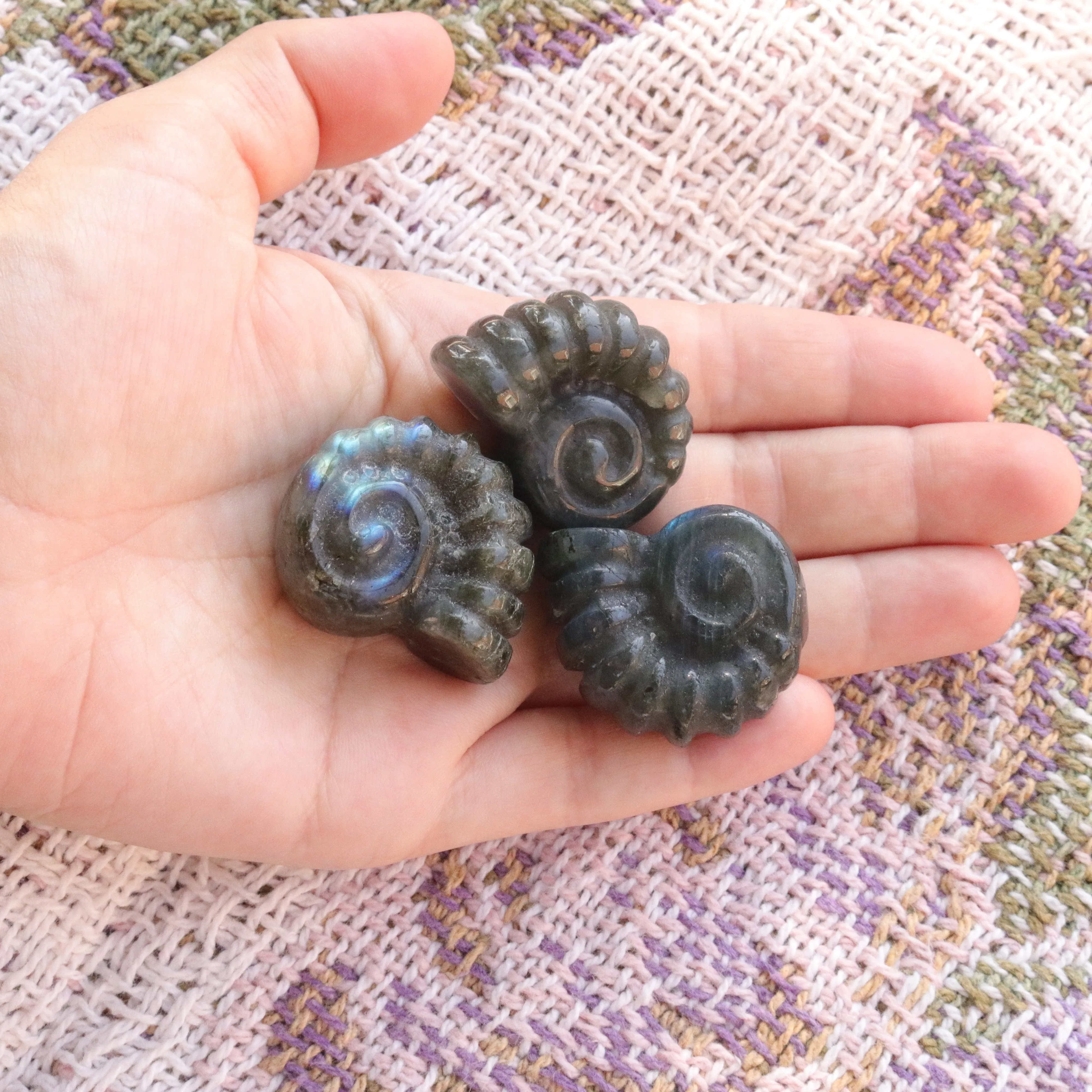 Magical and Cute Flashy Labradorite Shell Carving