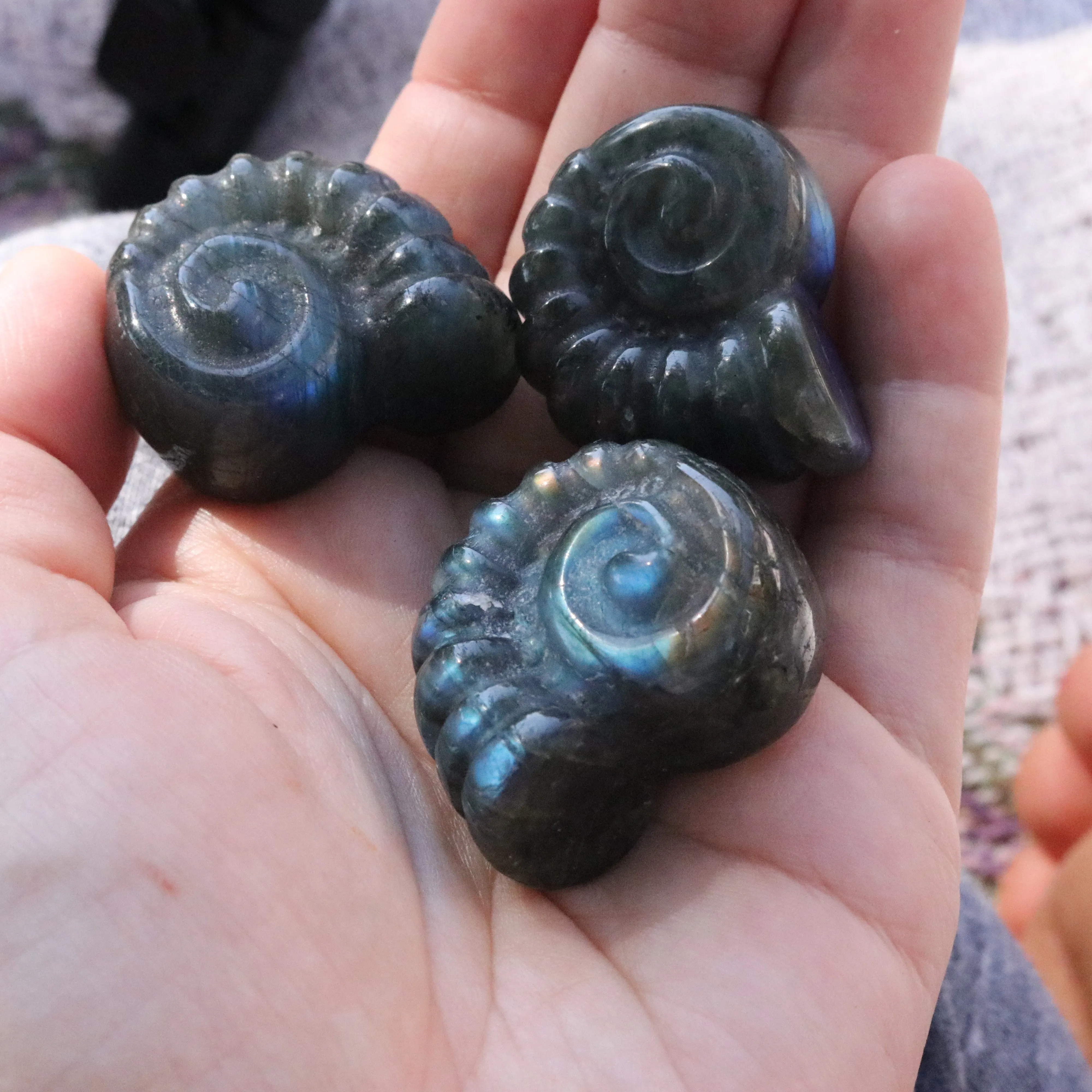 Magical and Cute Flashy Labradorite Shell Carving