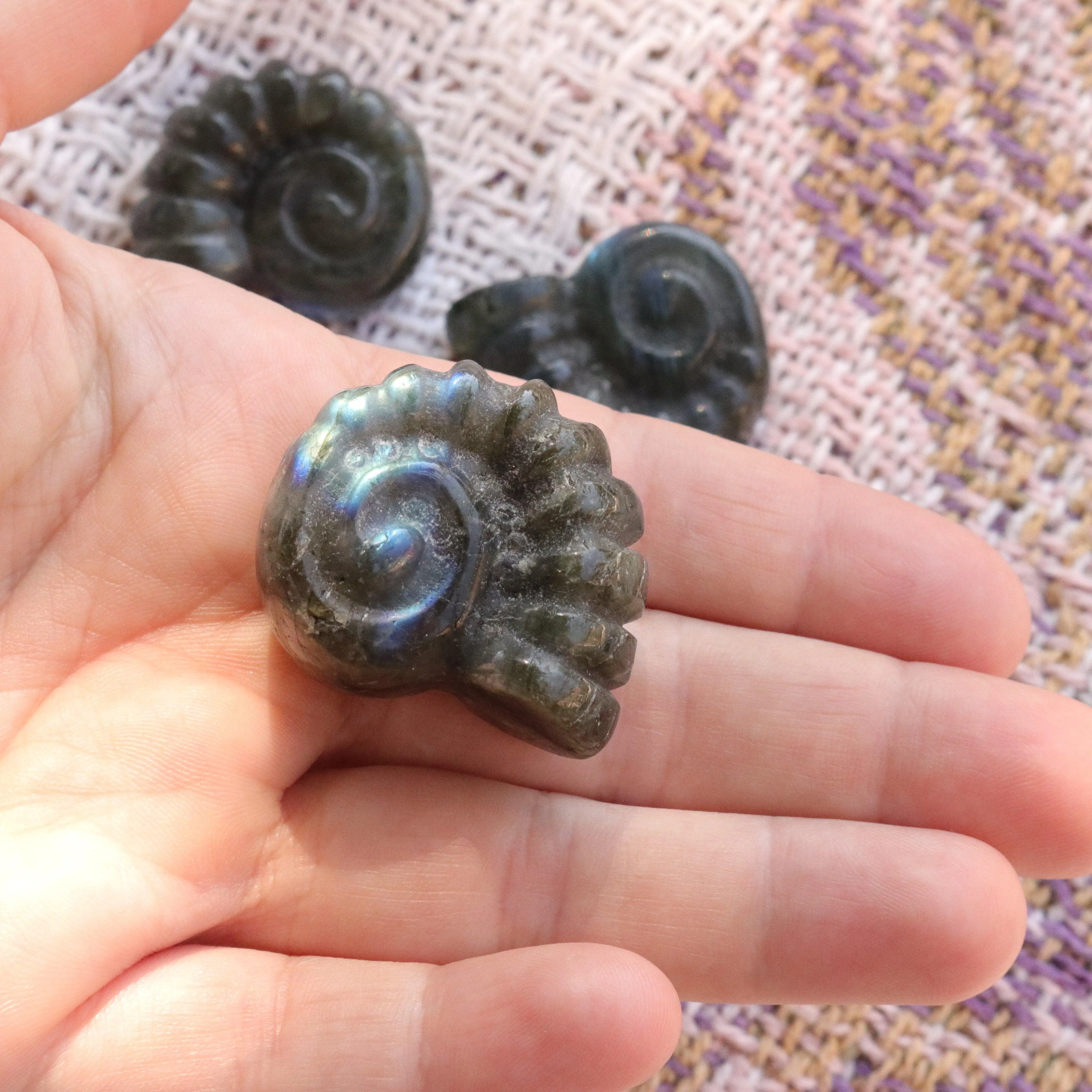 Magical and Cute Flashy Labradorite Shell Carving