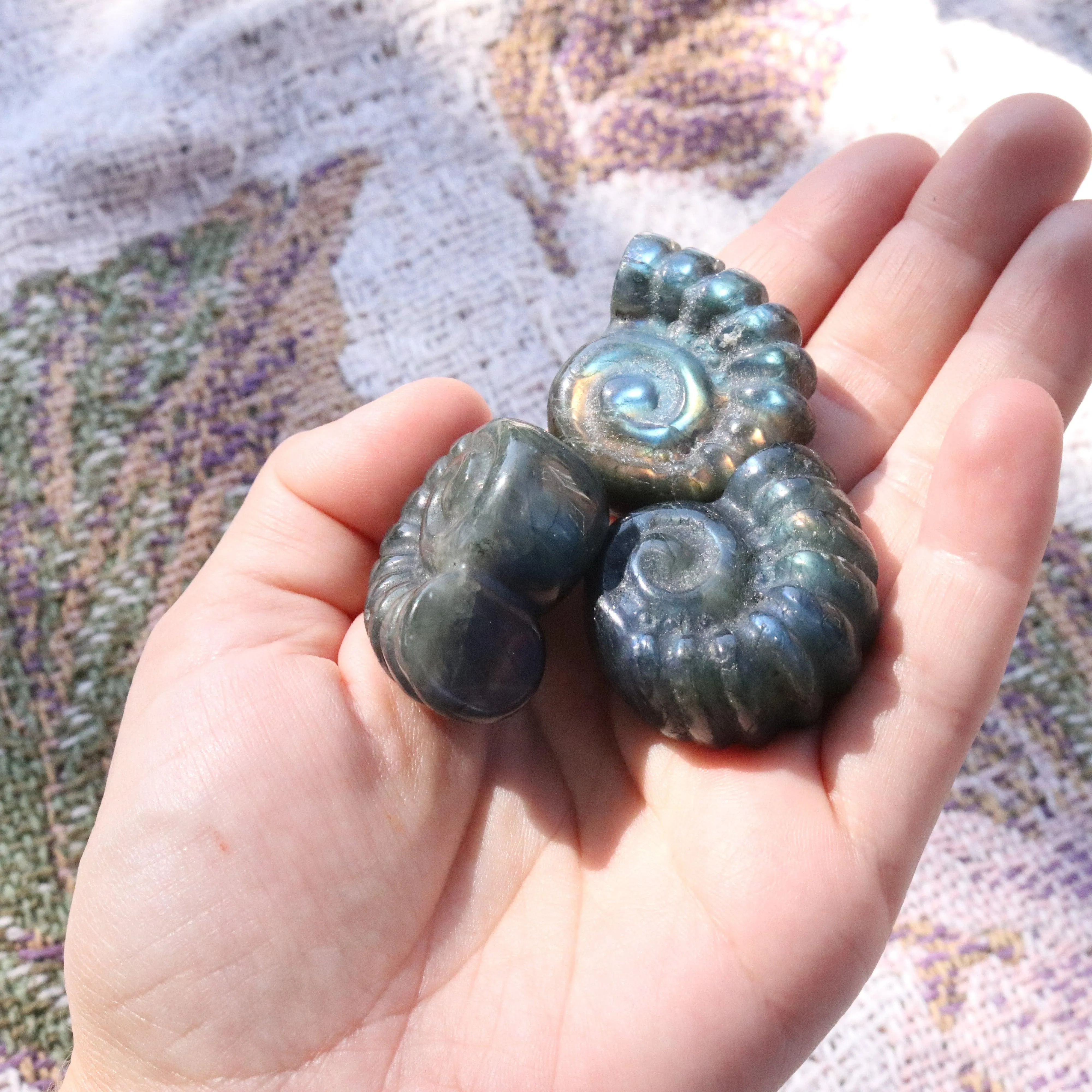 Magical and Cute Flashy Labradorite Shell Carving