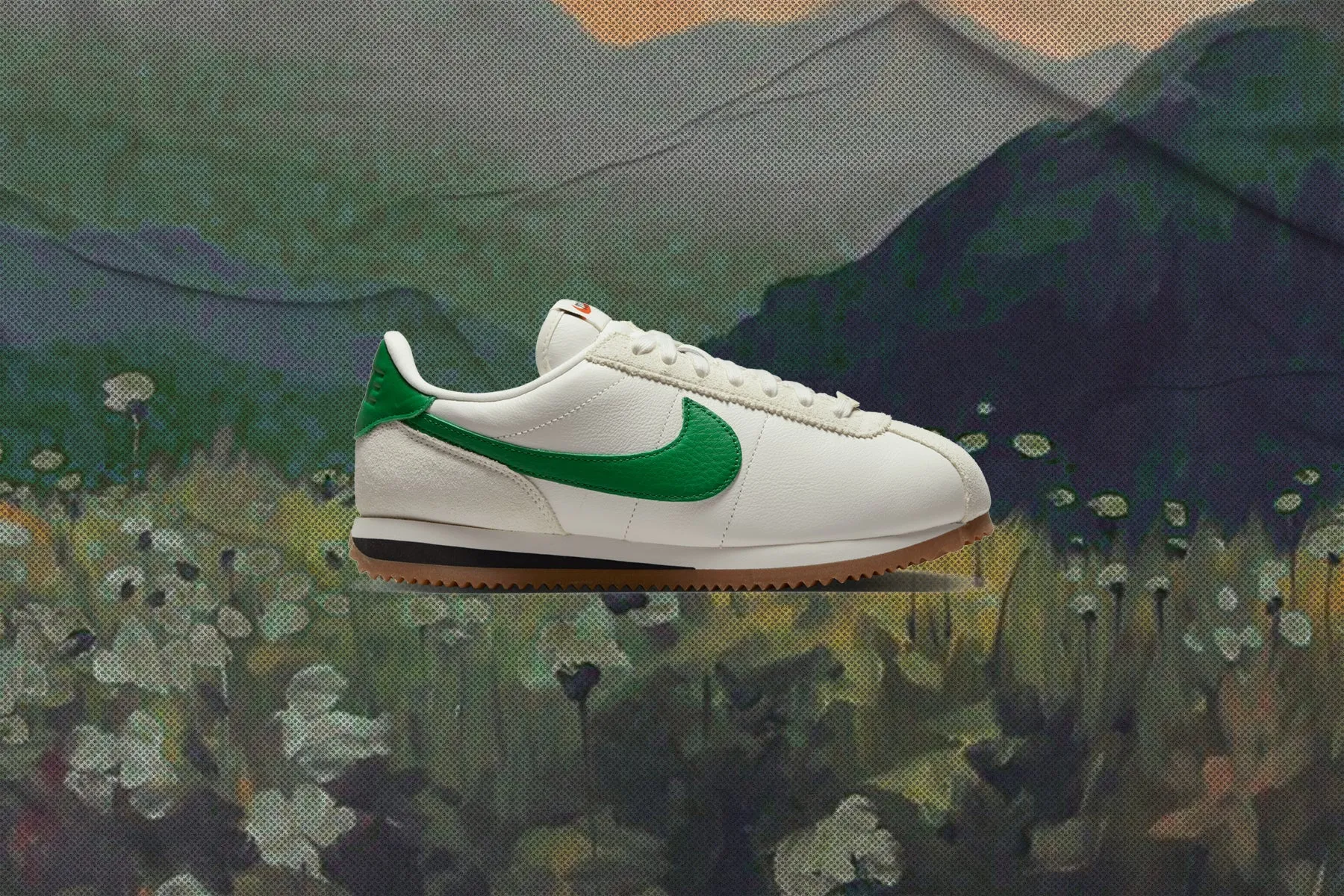 Women's Cortez 23 - Sail/Aloe Verde/Black